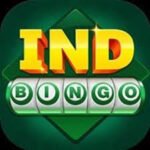 bingo